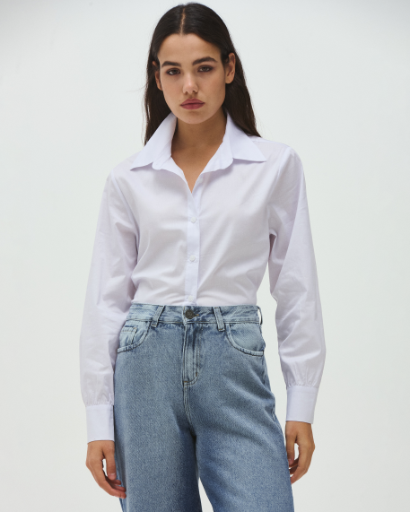 4ddown basicos 1775850261